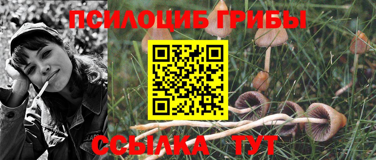 Азнакаево  Псилоцибиновые грибы Magic Shrooms  Вход с VPN 