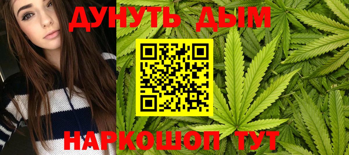 Бошки Шишки конопля Азнакаево